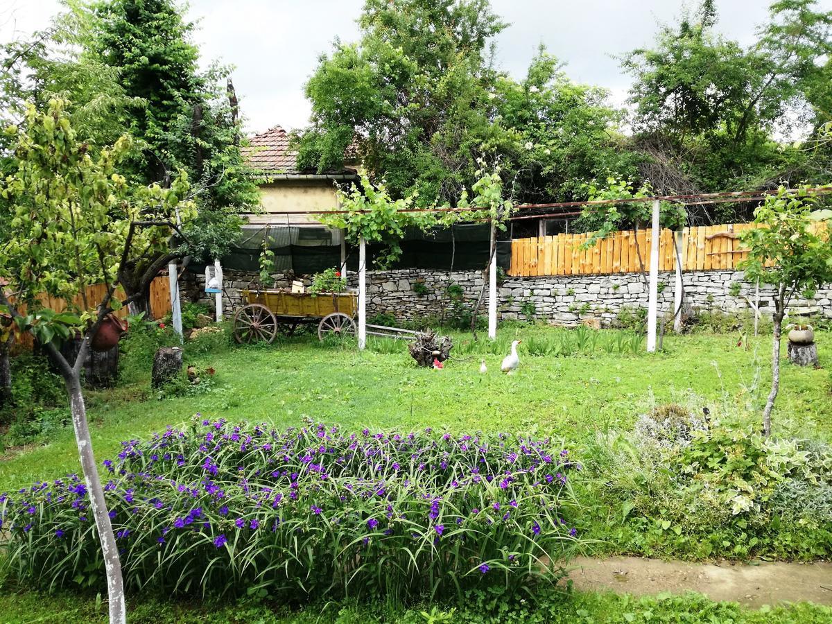 Divna Guest House Krushuna Esterno foto